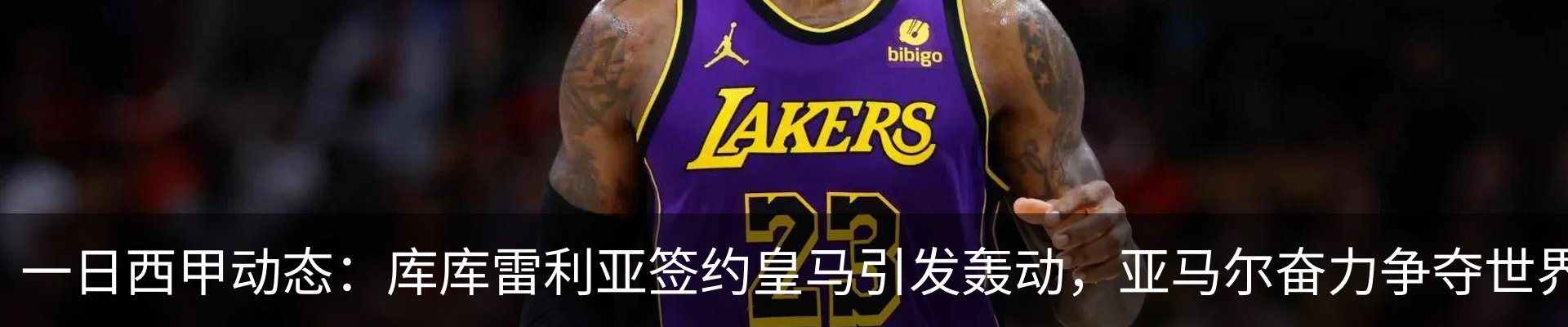 最新动态