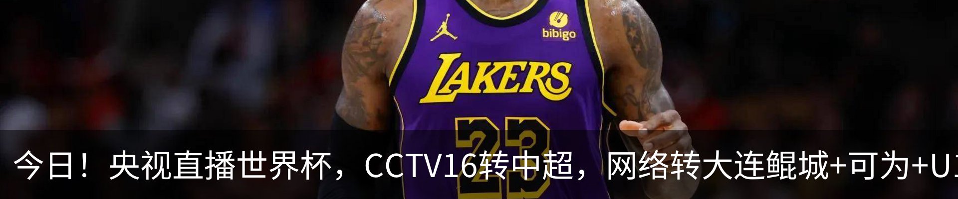 最新动态
