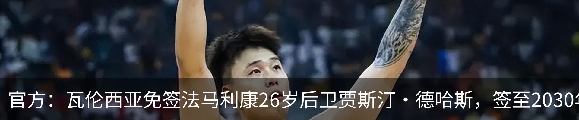 最新动态