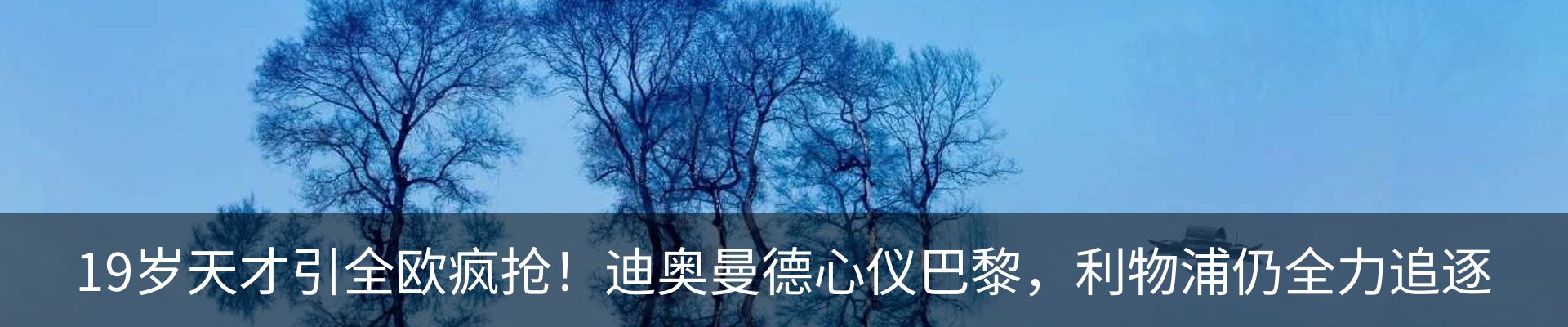 最新动态
