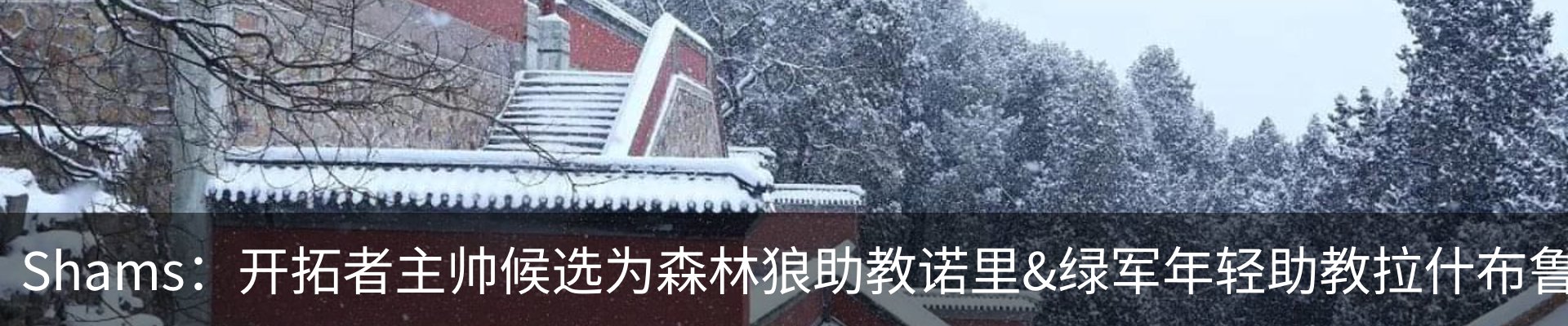 最新动态